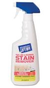 GRAFFITI REMOVER 22 OZ 6/CS