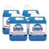 DAWN ORGINIAL 4/1GAL